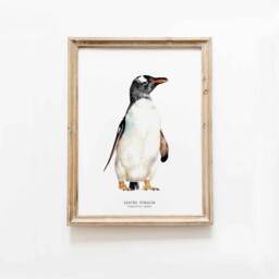 Gentoo Penguin Watercolor Fine Art Print - Bird Lover Gift Ocean, Coastal, Nautical Wall Nursery Penguins D??cor Pygoscelis Papua - thumbnail 1