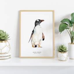 Gentoo Penguin Watercolor Fine Art Print - Bird Lover Gift Ocean, Coastal, Nautical Wall Nursery Penguins D??cor Pygoscelis Papua - thumbnail 2