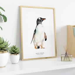 Gentoo Penguin Watercolor Fine Art Print - Bird Lover Gift Ocean, Coastal, Nautical Wall Nursery Penguins D??cor Pygoscelis Papua - thumbnail 3