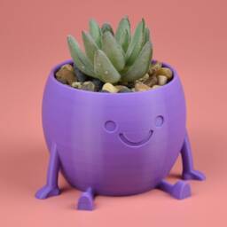 Cheeky Charlie - Planter Succulent Plat Pot Indoor Flowers Drainage Thiccc - thumbnail 2