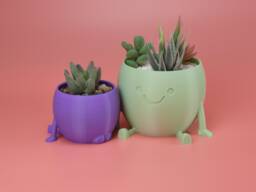 Cheeky Charlie - Planter Succulent Plant Pot Indoor Flowers Drainage Thiccc