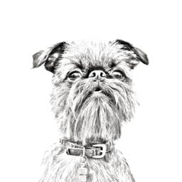 Griffon Bruxellois - Wooden Stand For Candles/Pens With The Image Of A Dog New Collection - thumbnail 2