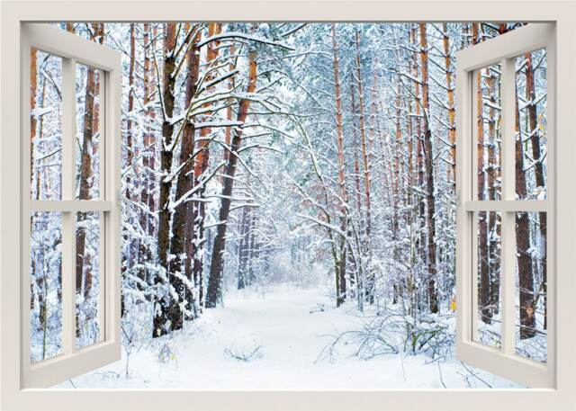 Snow Wall Decal, Winter Snowy Pathway Forest Trees Decal Sticker, 3D Window View Frame