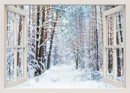 Snow Wall Decal, Winter Snowy Pathway Forest Trees Decal Sticker, 3D Window View Frame