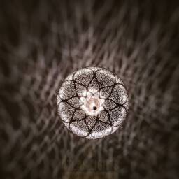 Handmade Engraved Brass Moroccan Pendant Light - Soltana Ceiling Lamp - thumbnail 4