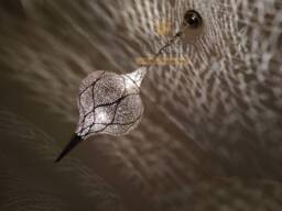 Handmade Engraved Brass Moroccan Pendant Light - Soltana Ceiling Lamp - thumbnail 1