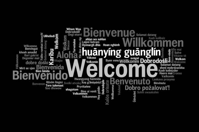 "Floor Mat ""Welcome, Welcome" - image 1