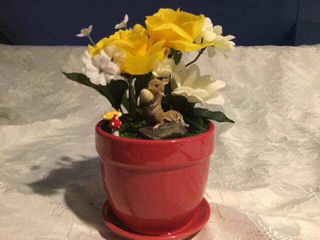 Squirrel Garden - image 1