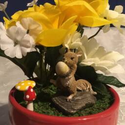 Squirrel Garden - thumbnail 3