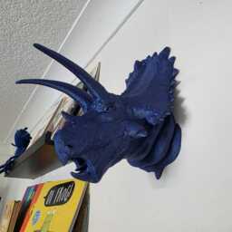 Bravoceratops Wall Art - Dinosaur Mount- 3D Printed - thumbnail 3