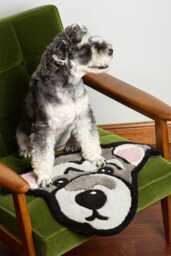 Custom Pet Tufted Rug With Name - Hand-Tufted Portrait Carpet Personalized Plush Face Mat