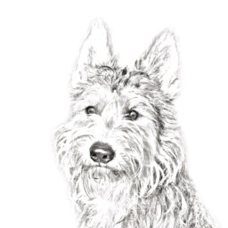 Berger Picard - Wooden Stand For Candles/Pens With The Image Of A Dog New Collection - thumbnail 2