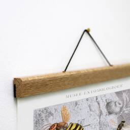 Entomology Canvas Print With Oak Wooden Hanger, Bees & Butterflies - thumbnail 2