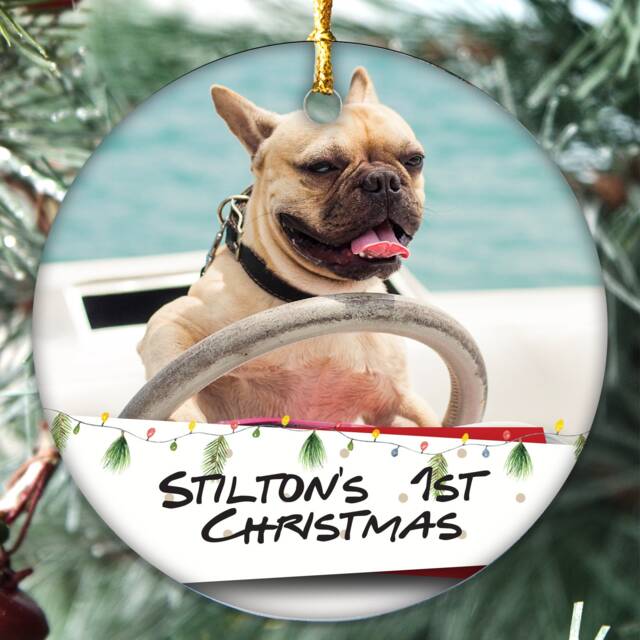 Personalised Any Pet First Christmas Photo Message Bauble Tree Decoration Xmas Gift For Puppy, Dogs, Kittens Cats. Hamster, Birds, Fish - image 1