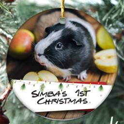 Personalised Any Pet First Christmas Photo Message Bauble Tree Decoration Xmas Gift For Puppy, Dogs, Kittens Cats. Hamster, Birds, Fish - thumbnail 3
