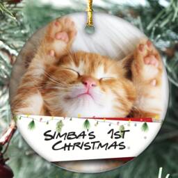 Personalised Any Pet First Christmas Photo Message Bauble Tree Decoration Xmas Gift For Puppy, Dogs, Kittens Cats. Hamster, Birds, Fish - thumbnail 2
