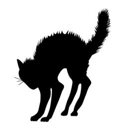 Angry Arched Halloween Black Cat - Wall Decal Custom Vinyl Art Stickers - thumbnail 2