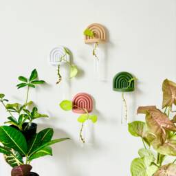Propagation Station/Hydroponic Wall Vase Boho Plant Decor For Cuttings & Flowers - thumbnail 1