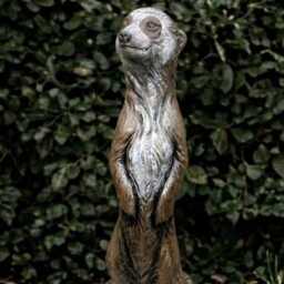 Garden Meerkat Sculpture Concrete Statue Outdoor Animal Figurine & Home Ornament Front Door Decoration Meerkat Lover Gift - thumbnail 2