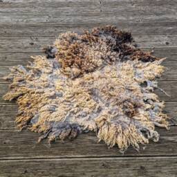 Handmade Gray Wool Rug Organic Sheep Locks, Wabi Sabi Decor - thumbnail 4