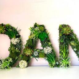 Large Moss Wall Letter Faux Succulent Woodland Decor - 60cm - thumbnail 2