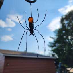Czechoslovakian Orange Spider Dangles From 12 - thumbnail 3