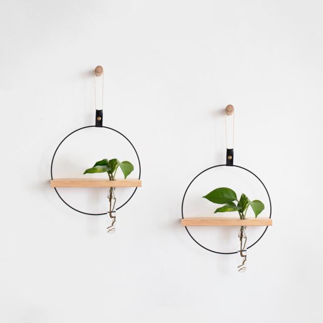 Two Propagating Shelves, Propagation Station Wall Hanging, Test Tube Planter, Planter, Shelves For Dried Flowers - image 1