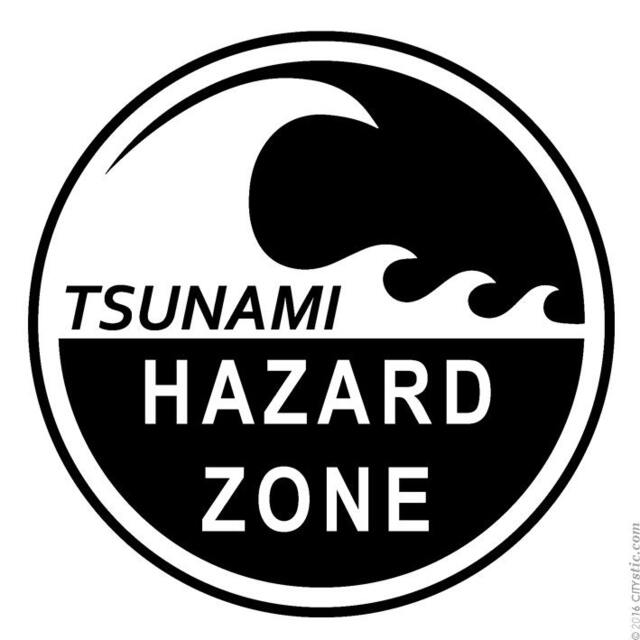 Tsunami Hazard Zone Wall Decal Pacific Ocean Sign - image 1