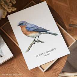 Bird Illustration, Eastern Bluebird, Prints, Garden Birds, Lover Gift, Watching, Wall Decor - thumbnail 2