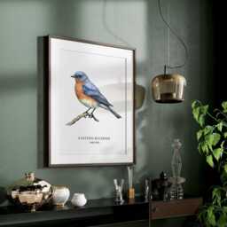 Bird Illustration, Eastern Bluebird, Prints, Garden Birds, Lover Gift, Watching, Wall Decor - thumbnail 3