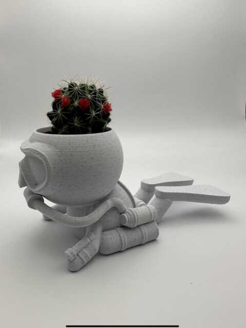 "Scuba Diver Succulent Planter Customised Airplant Holder ""Wee Jimmy Dinna Droon" - image 1