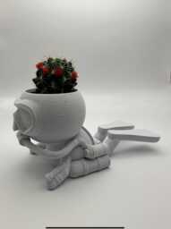 "Scuba Diver Succulent Planter Customised Airplant Holder ""Wee Jimmy Dinna Droon" - thumbnail 1
