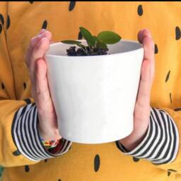"Personalised Flower Pot ""For You Nannie" - thumbnail 4