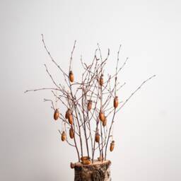 Natural Birch Tree, Wood Decor, Christmas Tree Alternative, Hanging Natural Acorns With Caps, Acorn Ornaments, Rustic Home Decor - thumbnail 3