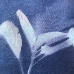 Cyanotype Pillow - thumbnail 3