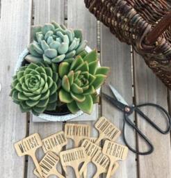 Herb Planter Labels - Garden Custom Stakes & Plant Marker Set Bamboo Gardener Gift - thumbnail 4