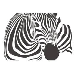 Zebra Wall Decal, Animals Wild Animals Wall Vinyl Art, Decoration, Decor - 198 - thumbnail 1