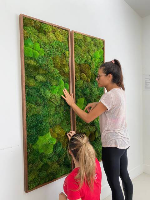 Preserved Moss Wall Art Natural Indoor Plant Decor - image 1