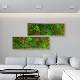 Preserved Moss Wall Art Natural Indoor Plant Decor - thumbnail 3