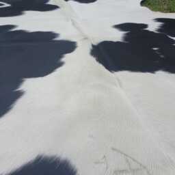 xxl Cowhide Rug Unique Cow Skin Hide Rug - thumbnail 3