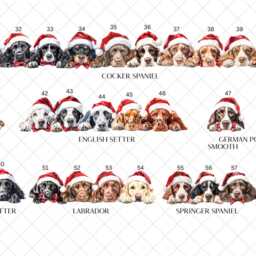 Dog Santa Sack, Christmas Present Personalised Stocking, Father Lots Of Different Breeds Available - thumbnail 3