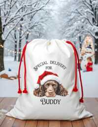 Dog Santa Sack, Christmas Present Personalised Stocking, Father Lots Of Different Breeds Available - thumbnail 1