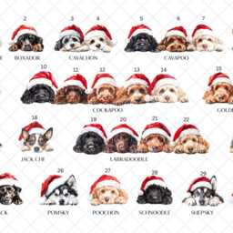 Dog Santa Sack, Christmas Present Personalised Stocking, Father Lots Of Different Breeds Available - thumbnail 2