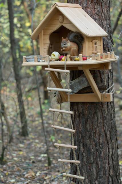 Wooden Squirrel Feeder, Personalized House, Garden Decore - image 1