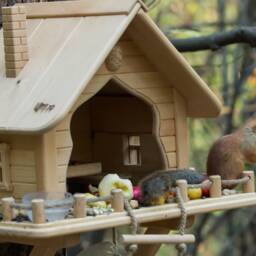 Wooden Squirrel Feeder, Personalized House, Garden Decore - thumbnail 2