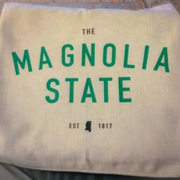 state Nickname Decor Throw Pillow - thumbnail 2