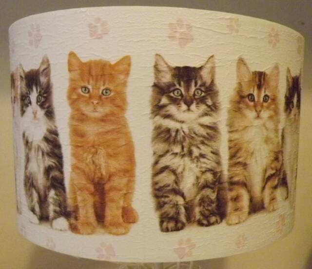 Kitten Lampshade, Light Shade, Shabby Chic Cat Lovers Fatta Da Mamma Free Gift - image 1