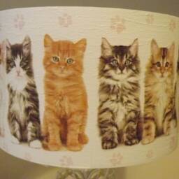 Kitten Lampshade, Light Shade, Shabby Chic Cat Lovers Fatta Da Mamma Free Gift - thumbnail 3