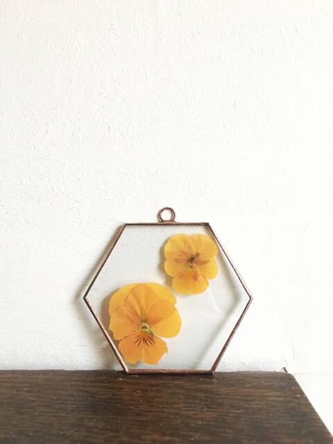 Glass Pressed Flower Frame - Hexagon Violas Real Flowers Wall Hanging - image 1