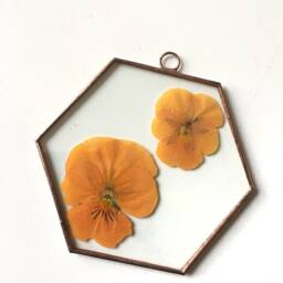 Glass Pressed Flower Frame - Hexagon Violas Real Flowers Wall Hanging - thumbnail 3